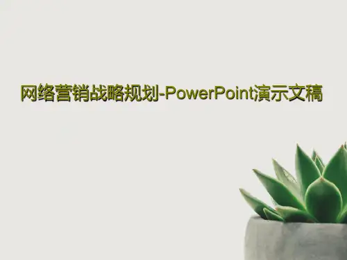 网络营销战略规划-PowerPoint演示文稿88页PPT
