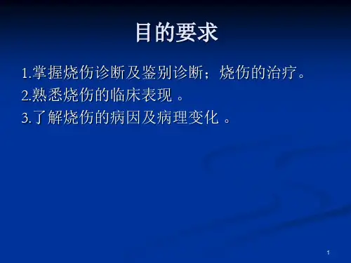 烧伤手术治疗PPT课件