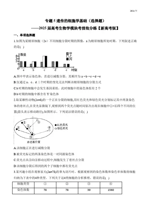 专题5 遗传的细胞学基础(选择题)——2025届高考生物学模块分练【新高考版】(含解析)