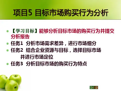 项目5目标市场购买行为分析