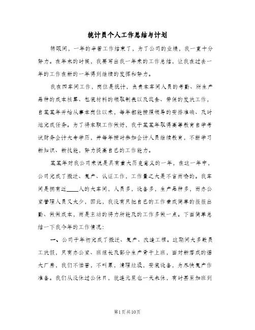统计员个人工作总结与计划（4篇）