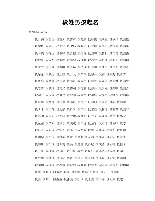 段姓男孩起名