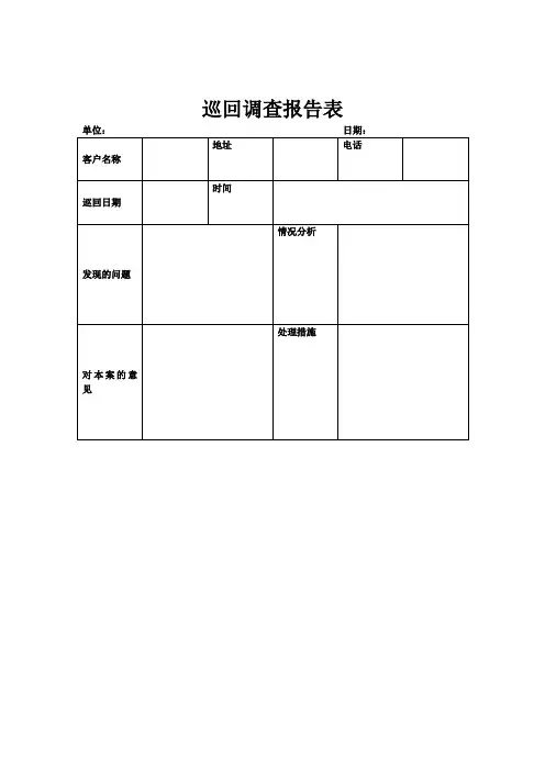 巡回调查报告表模板范文