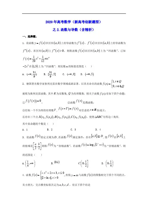 2020年高考数学《新高考创新题型》之2：函数与导数(含精析)
