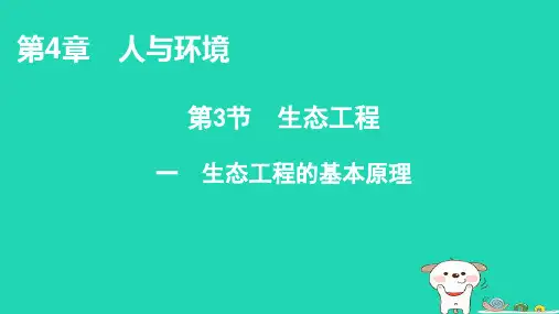 新教材高中生物第4章人与环境第3节生态工程1生态工程的基本原理课件新人教版选择性必修