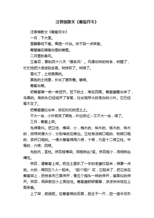 汪曾祺散文《葡萄月令》