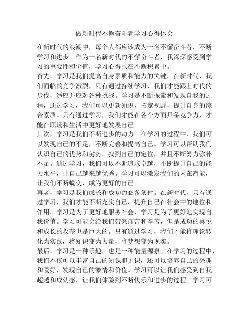 做新时代不懈奋斗者学习心得体会