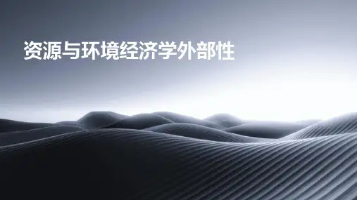 资源与环境经济学外部性