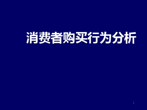 消费者购买行为分析报告