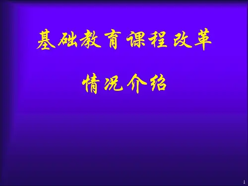调整和改革课程体系ppt课件
