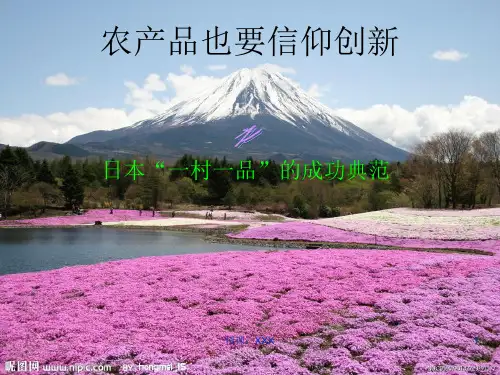 演示课件(日本一村一品)PPT课件