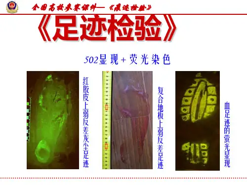 【一等奖课件】《痕迹检验学》参赛选中科目：502显现+ 荧光染色