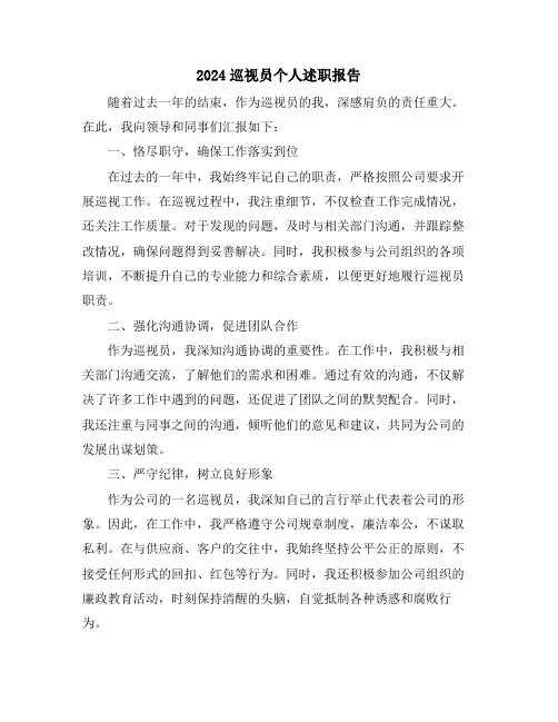 2024巡视员个人述职报告