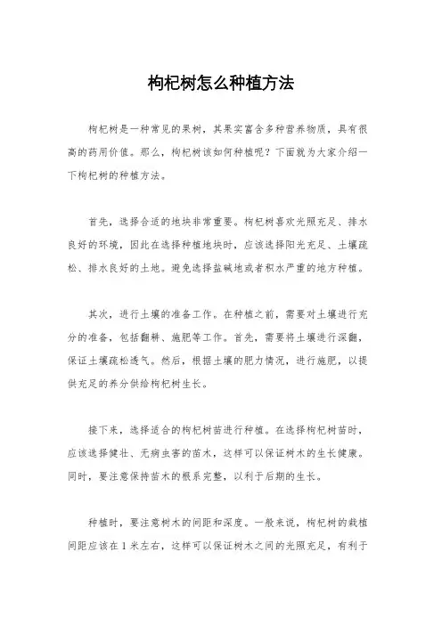 枸杞树怎么种植方法