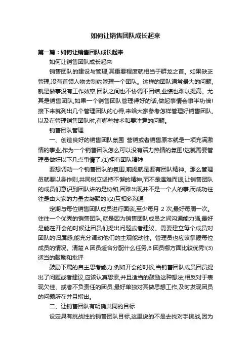 如何让销售团队成长起来
