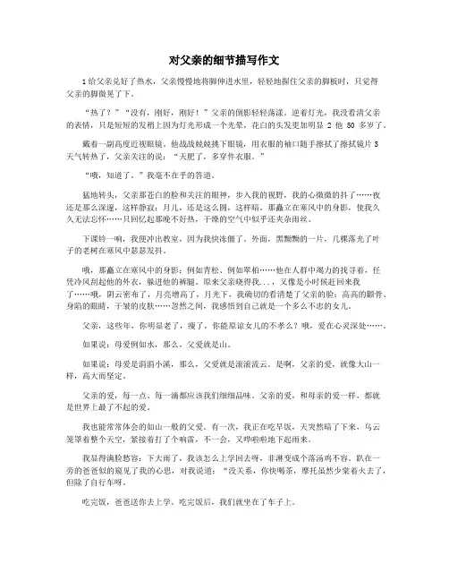 对父亲的细节描写作文