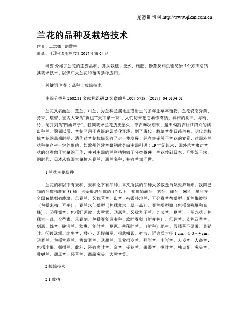 兰花的品种及栽培技术