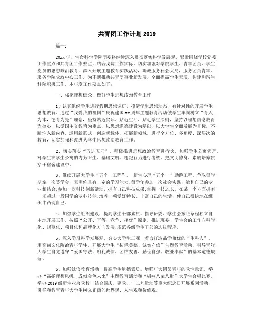 共青团工作计划2019
