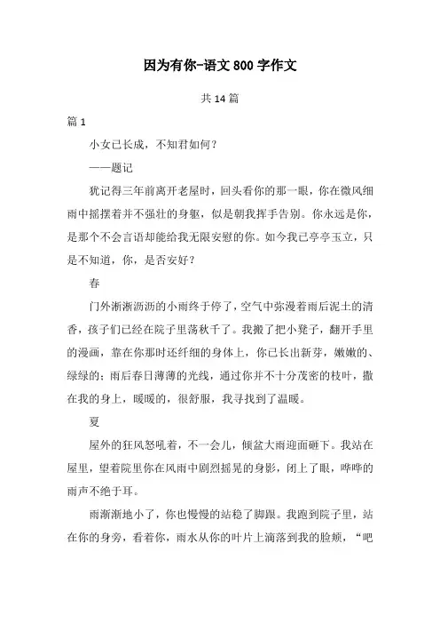 因为有你-语文800字作文