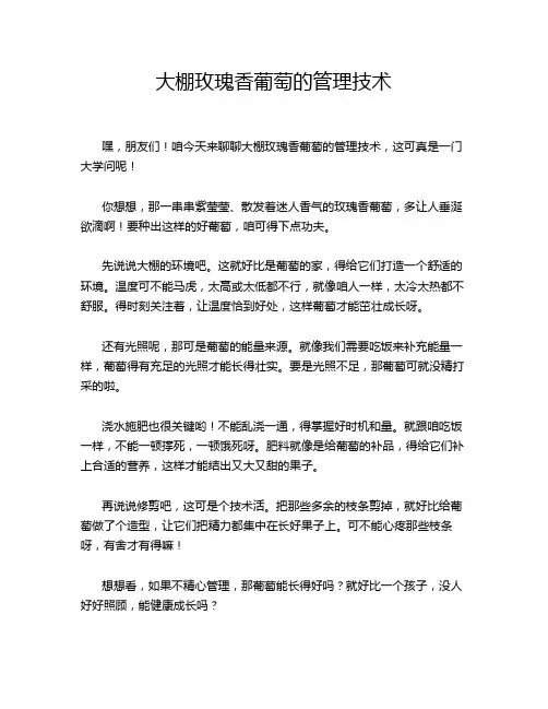 大棚玫瑰香葡萄的管理技术