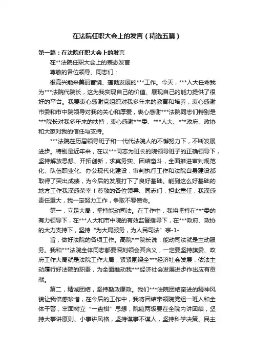 在法院任职大会上的发言（精选五篇）