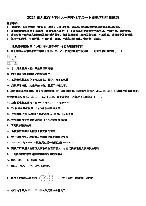 2024届湖北省华中师大一附中化学高一下期末达标检测试题含解析