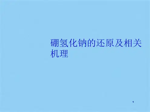硼氢化钠的还原及相关机理优秀课件(共10张PPT)