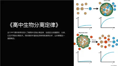 《高中生物分离定律》课件