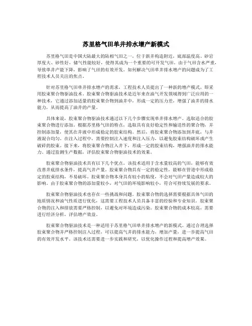 苏里格气田单井排水增产新模式