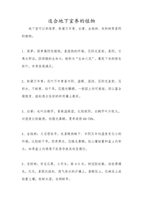 适合地下室养的植物