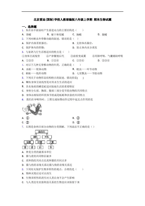 北京爱迪(国际)学校人教部编版八年级上学期 期末生物试题
