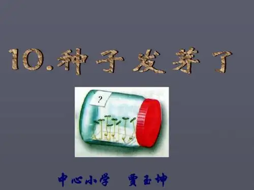 青岛版五年级下册10.种子发芽了