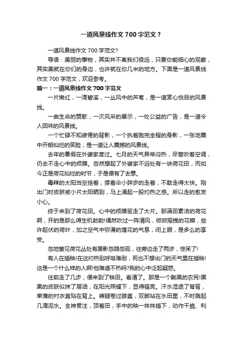 一道风景线作文700字范文？