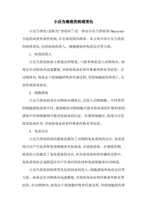 小反刍兽疫的病理变化