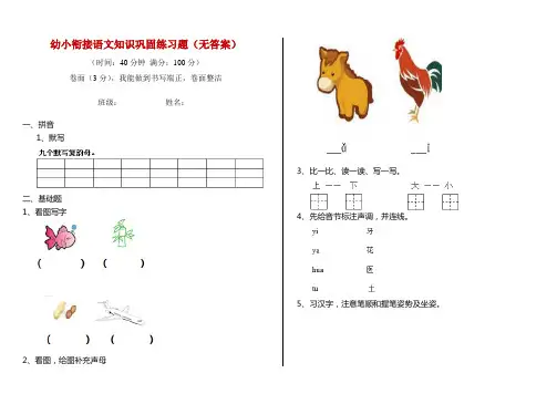 幼小衔接语文知识巩固练习题(无答案)