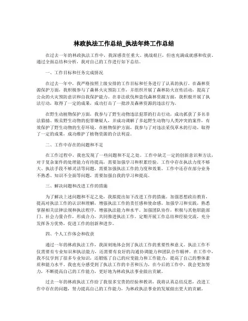 林政执法工作总结_执法年终工作总结