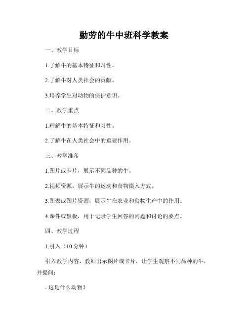 勤劳的牛中班科学教案