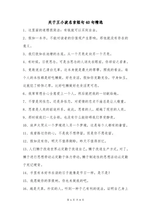 关于王小波名言短句40句精选