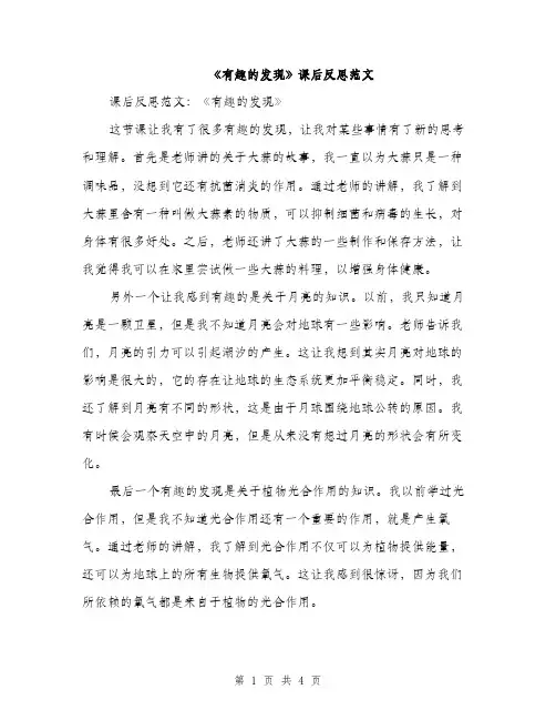 《有趣的发现》课后反思范文(二篇)