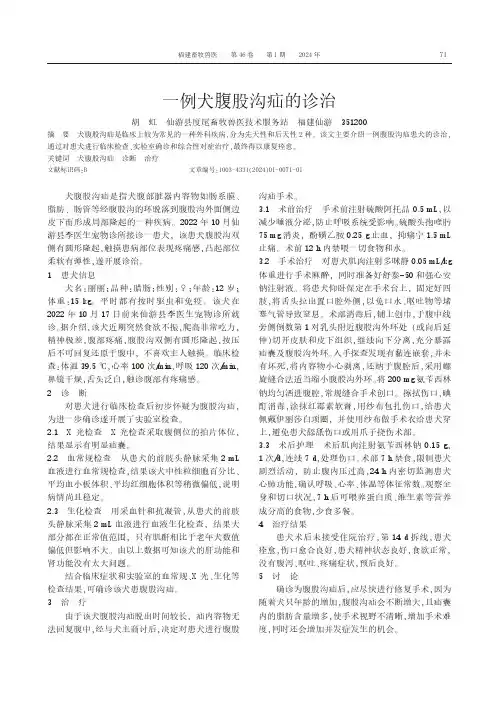 一例犬腹股沟疝的诊治