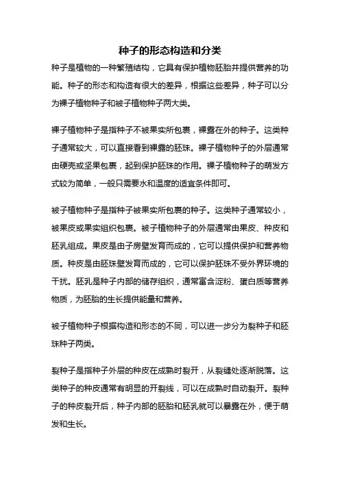 种子的形态构造和分类