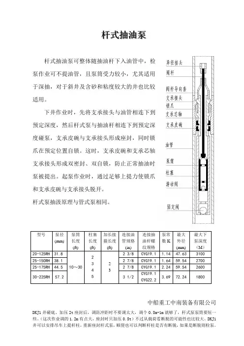 杆式泵简介