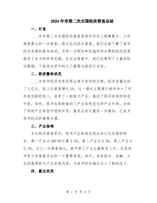 2024年市第二次全国经济普查总结