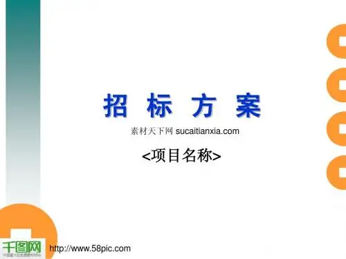 项目招标方案PPT模板