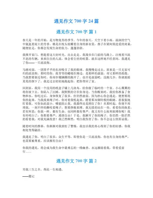 遇见作文700字24篇