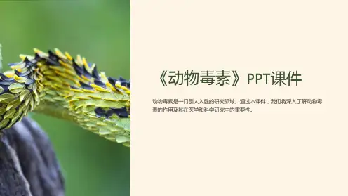 《动物毒素》课件