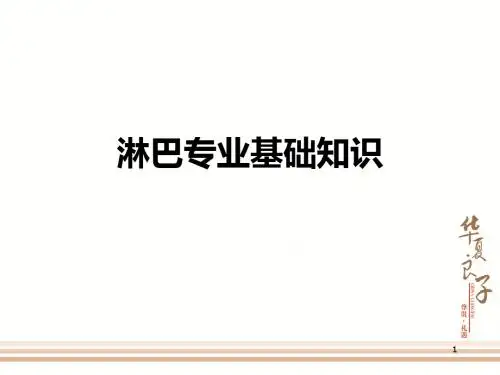 淋巴排毒基础知识