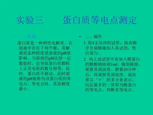 实验三蛋白质等电点测定-文档资料