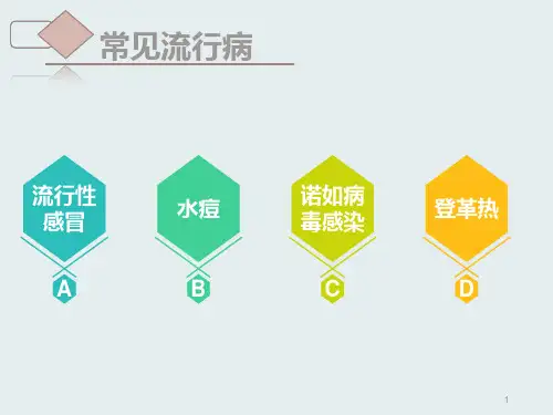 疾病预防小知识PPT课件