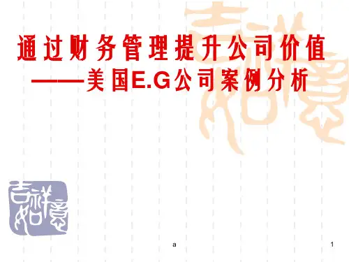 《财务管理财务案例》PPT课件